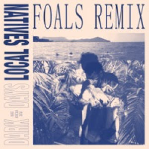 Dark Days (Foals Remix) [feat. Sylvan Esso] - Single