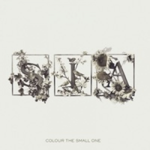 Colour the Small One (Bonus Track Version)