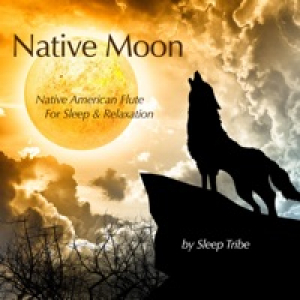 Native Moon (Native American Flute for Sleep & Relaxation)