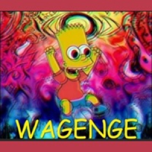 Wagenge (feat. Finesse Ngara) - Single