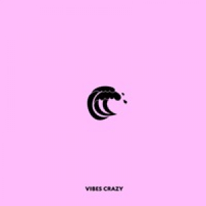 Vibes Crazy - Single