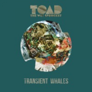 Transient Whales - Single