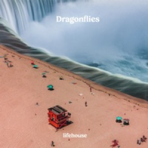 Dragonflies - Single