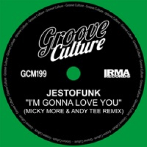 I'm Gonna Love You (Micky More & Andy Tee Remix Edit) - Single