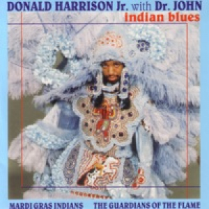Indian Blues (feat. Dr. John)