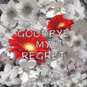 Goodbye My Regret - Single
