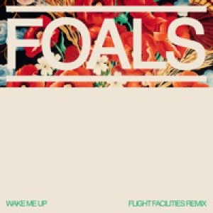 Wake Me Up (Flight Facilities Remix) - Single