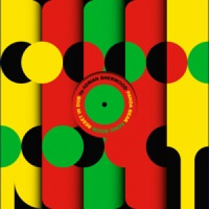Whirlpool Dub (Adrian Sherwood 'Reset in Dub' Remix) - Single