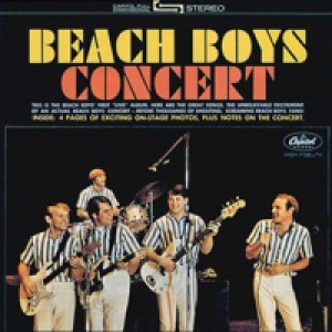 Beach Boys Concert (Live)