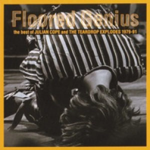 Floored Genius: The Best of Julian Cope and the Teardrop Explodes (1979-91)