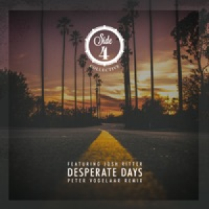 Desperate Days (Peter Vogelaar Remix) [feat. Josh Ritter] - Single