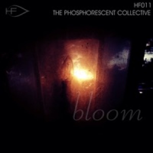 Bloom - Single