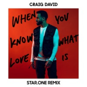 When You Know What Love Is (Star.One Remix) - Single