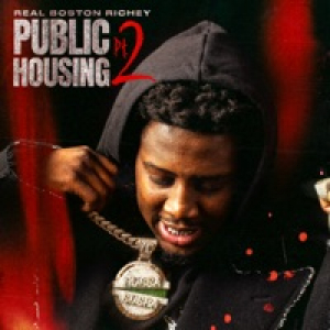 Public Housing, Pt. 2