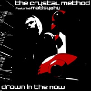 Drown In the Now (feat. Matisyahu)