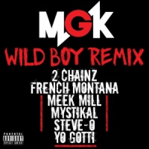 Wild Boy (feat. 2 Chainz, French Montana, Meek Mill, Mystikal, Steve-O & Yo Gotti) [Remix]  - Single