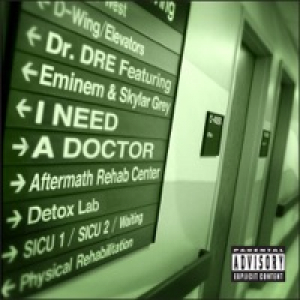 I Need a Doctor (feat. Eminem & Skylar Grey) - Single