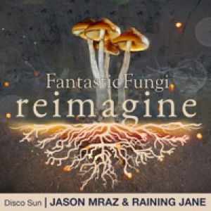 Disco Sun (Fantastic Fungi: Reimagine) - Single