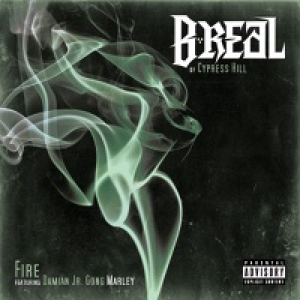 Fire (feat. Damian Jr. Gong Marley) - Single