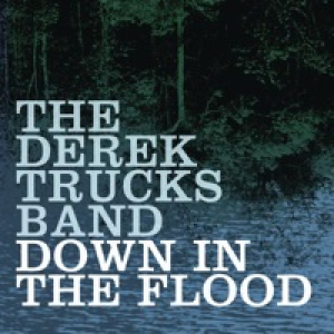 Down In the Flood - Single