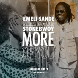 More of You (Booker T Remixes) - EP
