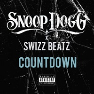 Countdown (feat. Swizz Beatz) - Single