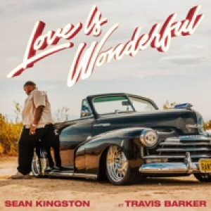 Love Is Wonderful (feat. Travis Barker) - Single