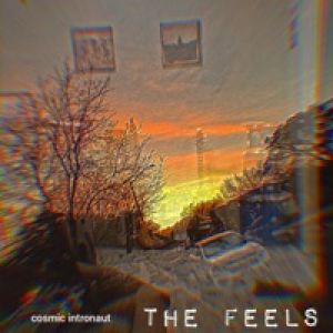 The Feels - Single