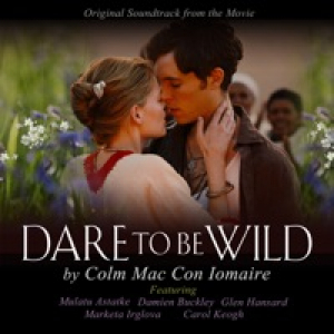 Dare to Be Wild Soundtrack (feat. Carol Keogh, Glen Hansard, Marketa Irglova, Damien Buckley & Mulatu Astatke)