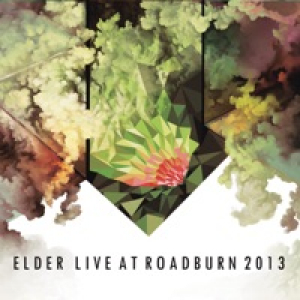 Live At Roadburn Festival 2013