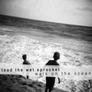 Walk On the Ocean - EP