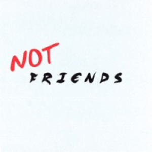 Not Friends - Single