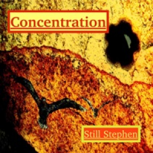 Concentration - Single