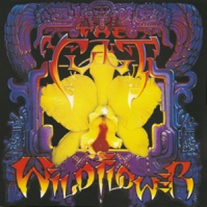 Wild Flower - EP