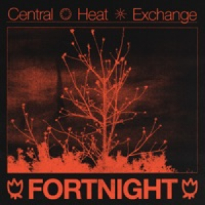 Fortnight (Remix) - Single