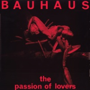 The Passion of Lovers - Single