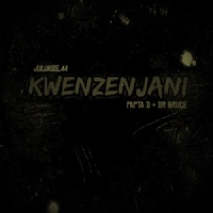 Kwenzenjani (feat. DR BRUCE & Papta D) - Single