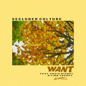 Want (feat. Craig Nisbet & Finn Toohey) - Single