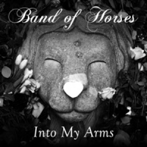 Into My Arms - Single