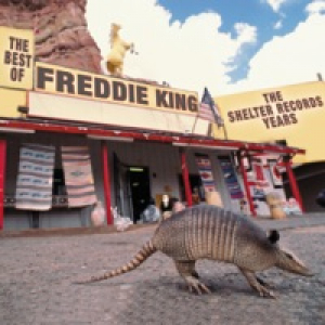 The Best of Freddie King: The Shelter Records Years