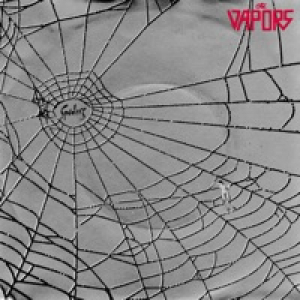 Spiders - Single