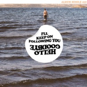 I'll Keep on Following You - Single