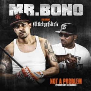 Not a Problem (feat. Mitchy Slick) - Single