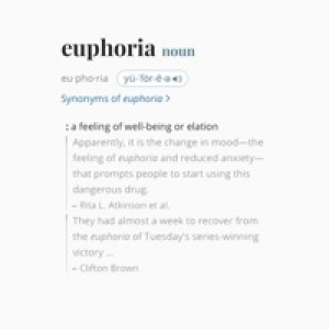 euphoria - Single
