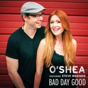 Bad Day Good (feat. Steve Wariner) - Single