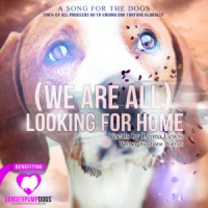 (We Are All) Looking for Home - Single