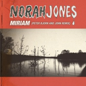 Miriam (Peter Bjorn & John Remix) - Single