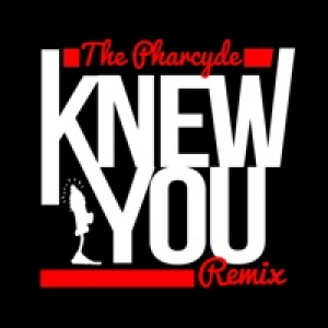 Knew You (Simeon Viltz Remix) - Single