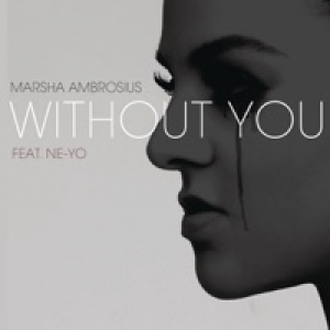 Without You (feat. Ne-Yo) - Single