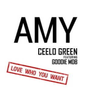Amy (feat. Goodie Mob) - Single
